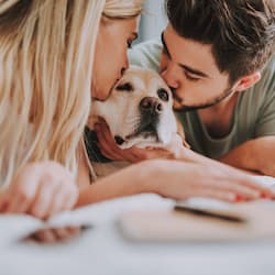 Partnerbörse für alle die Hunde lieben | Gassigehen zum Verlieben