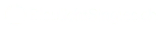 blaulichtsingles.ch Logo