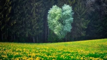 Finde jetzt Singles in deiner Umgebung